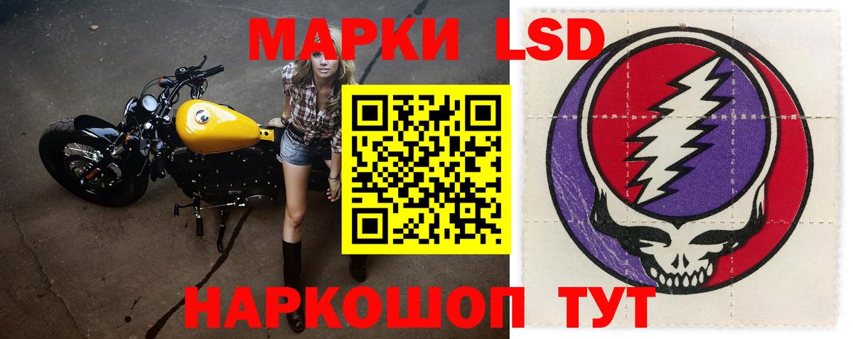 Лсд 25 экстази кислота  LSD-25 экстази кислота  Лсд 25 экстази  Вход с VPN  Камышлов 