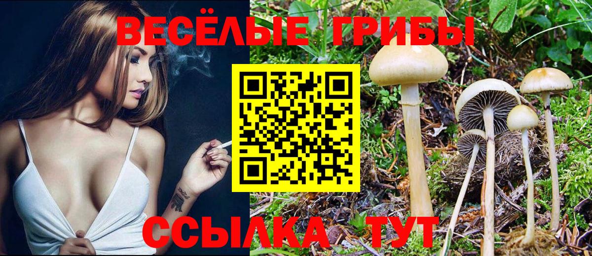 Псилоцибиновые грибы Psilocybine cubensis  Псилоцибиновые грибы Cubensis  Вход с VPN  Камышлов 