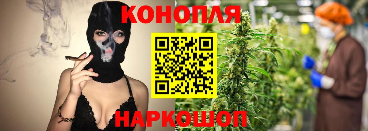 МАРИХУАНА SATIVA & INDICA Камышлов