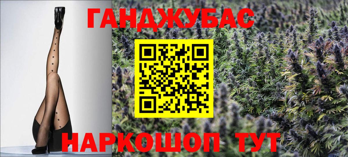 Бошки марихуана ГИДРОПОН  МАРИХУАНА Bruce Banner  Вход с VPN  Канабис Amnesia  Конопля индика  Камышлов 